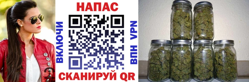 Наркота Химки Псилоцибиновые грибы  МЕФ  Каннабис  блэк спрут ONION  СОЛЬ 